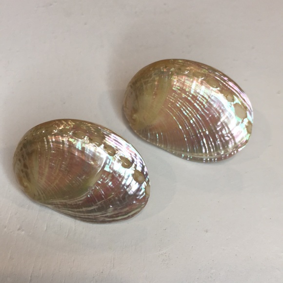 Vintage Mini Abalone Shell Earrings - Picture 1 of 6